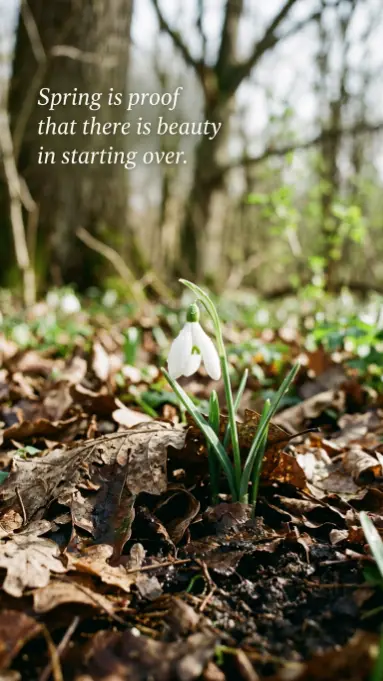 Spring is proof that there is beauty in starting over