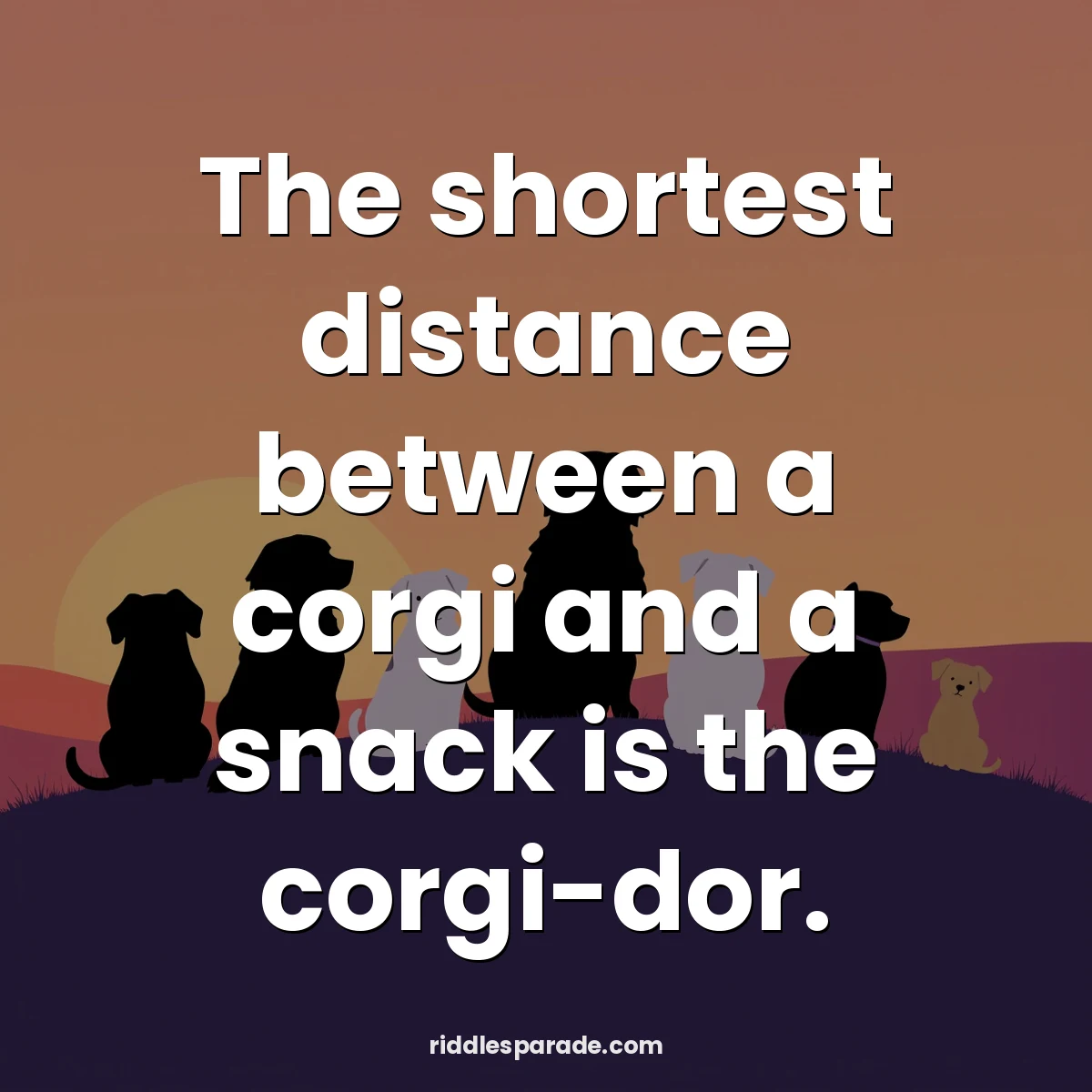 The shortest distance between a corgi and a snack is the corgi-dor.