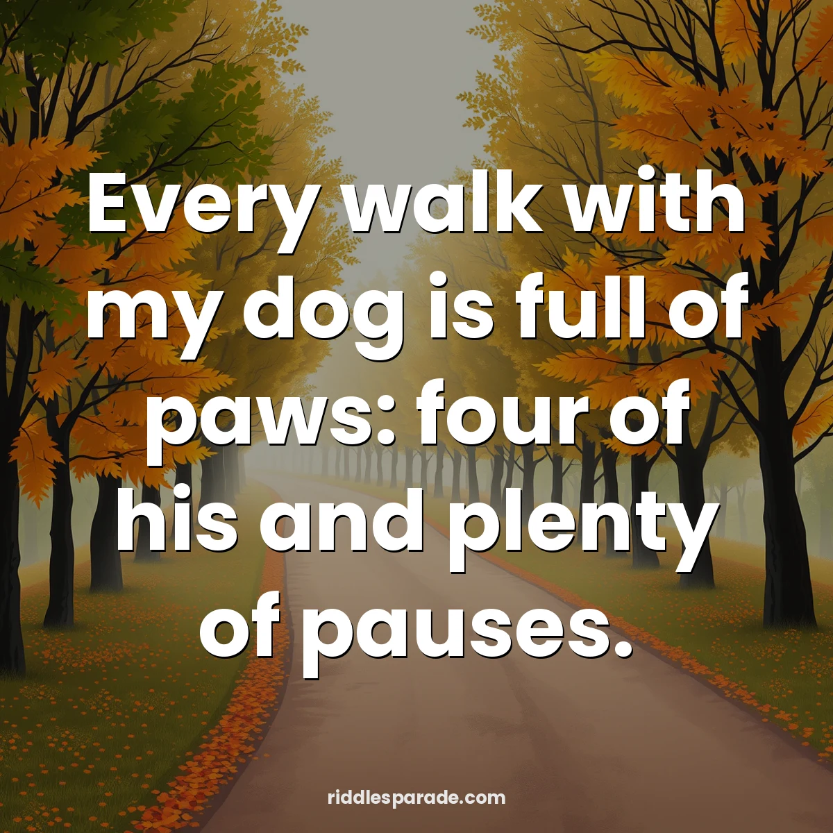 Every walk with my dog is full of paws: four of his and plenty of pauses.