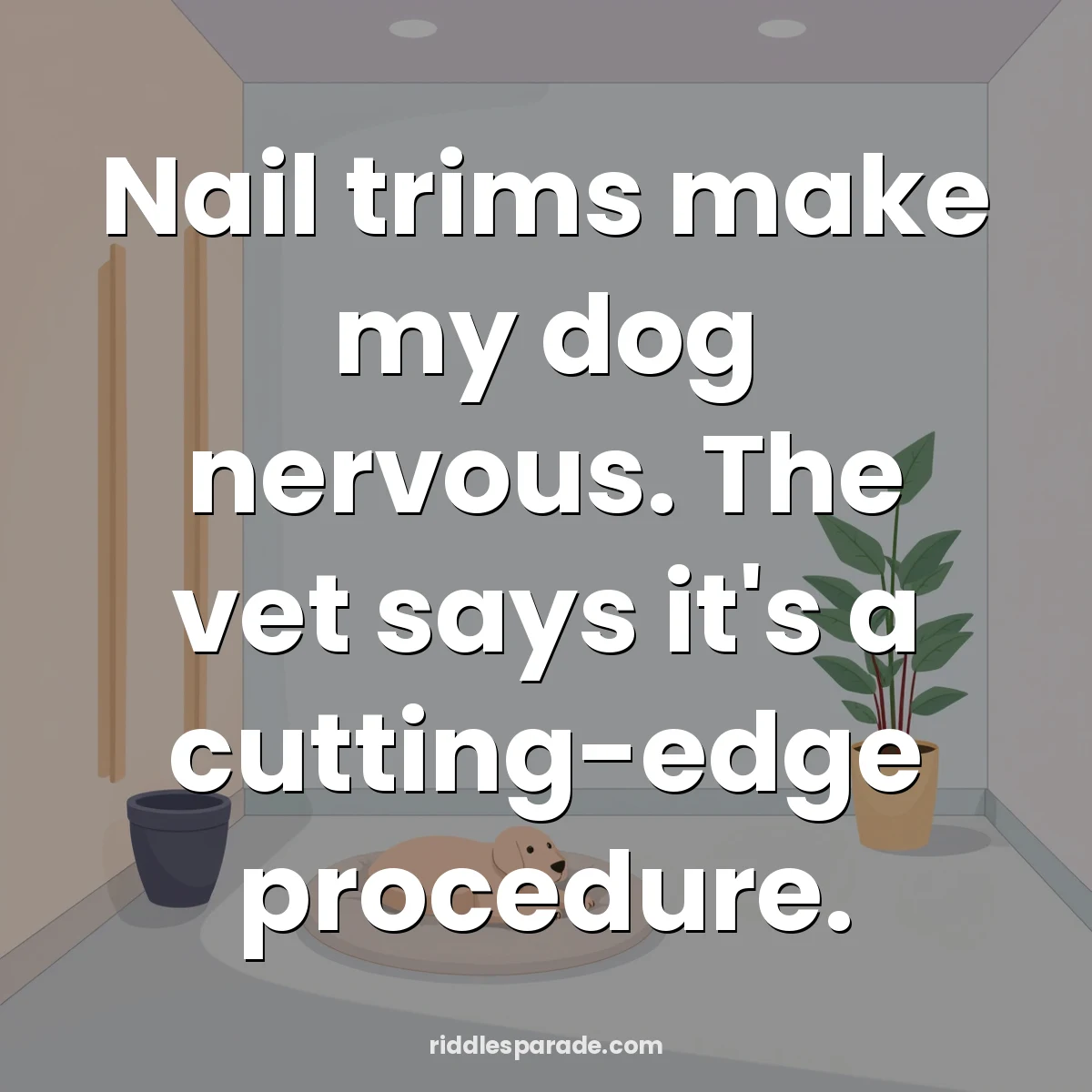 Nail trims make my dog nervous. The vet says it's a cutting-edge procedure.