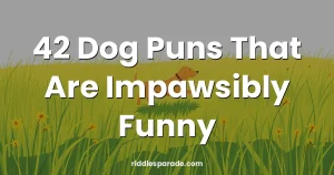 42 Dog Puns That Are Impawsibly Funny