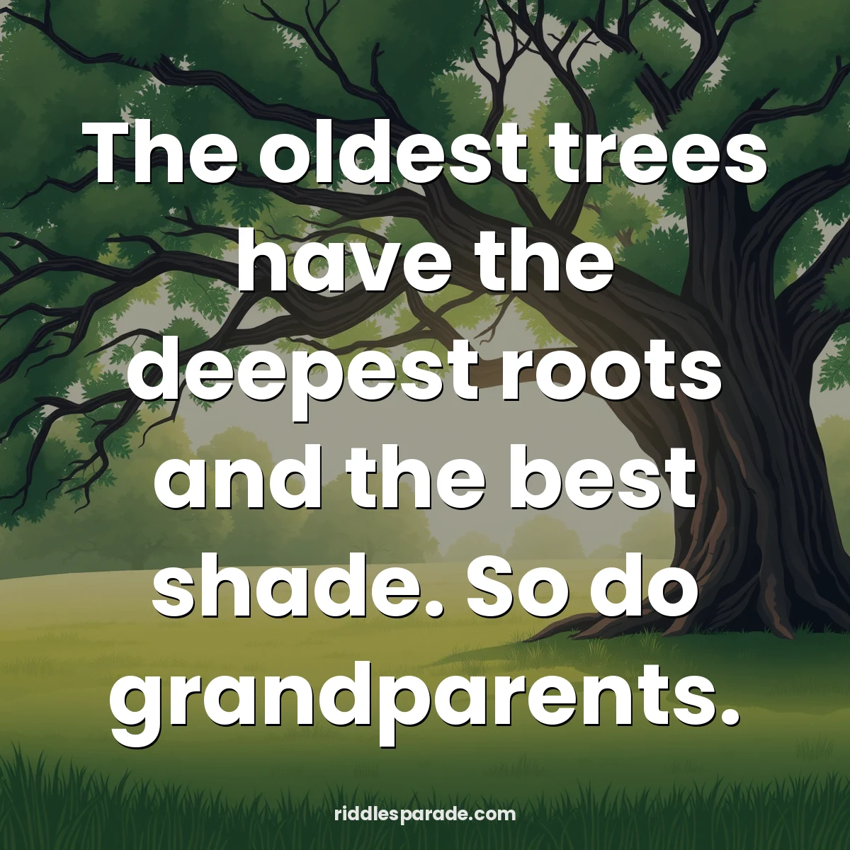 The oldest trees have the deepest roots and the best shade. So do grandparents.